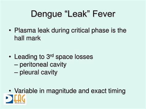 fluid leakage in dengue